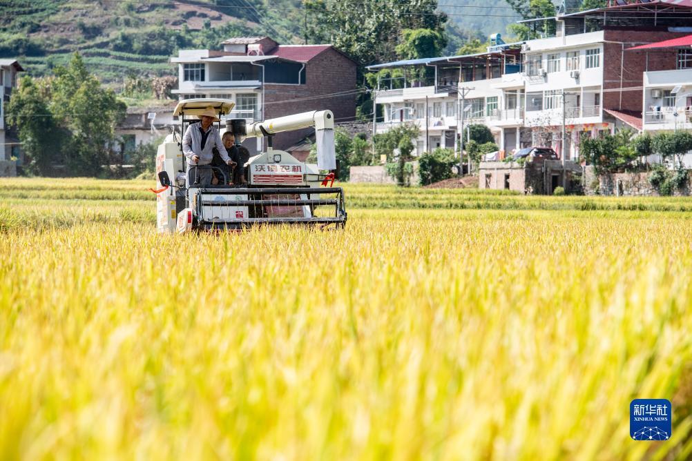 火凤游戏平台